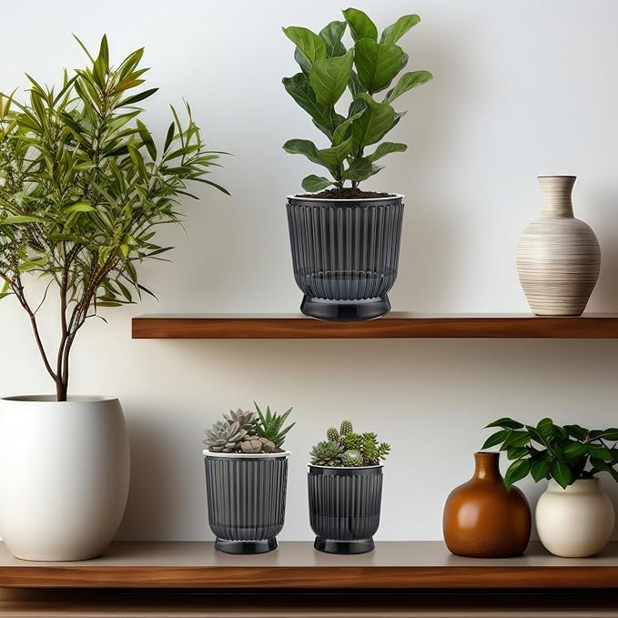 Set of 6 Self Watering Plant Pot 3 Sizes Plastic Double Layer Self Watering - Image 6