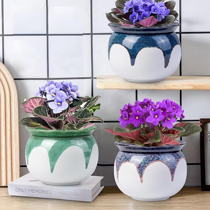African Violet Pots, 6 inch Ceramic Easy Self Watering Plant Pot - Image 4