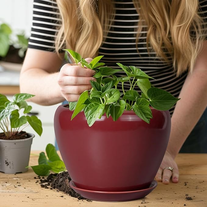 Ceramic Planter - Image 7