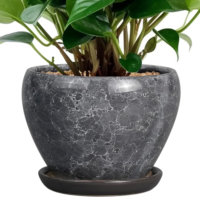 Ceramic Planter by Ceramicfor