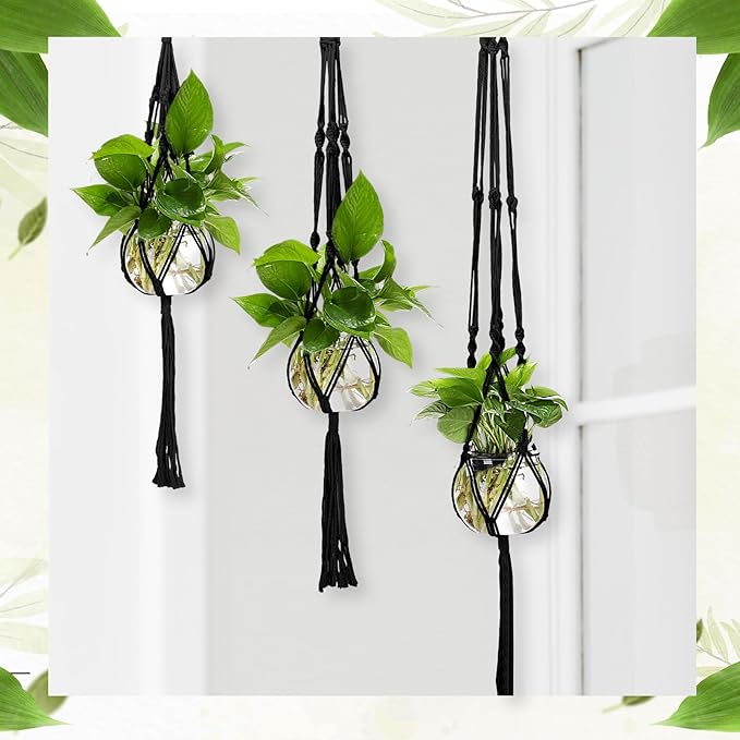 6 Pcs Plastic Plant Propagation - Image 5