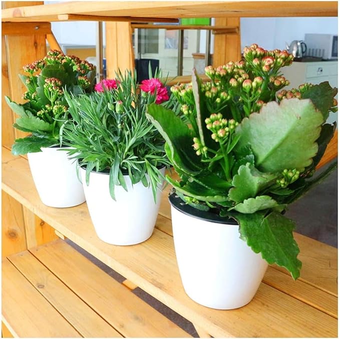 6 Pcs 3.5“ Self Watering Planter White Flower Pot, Flowers Plants, Small Mini - Image 7