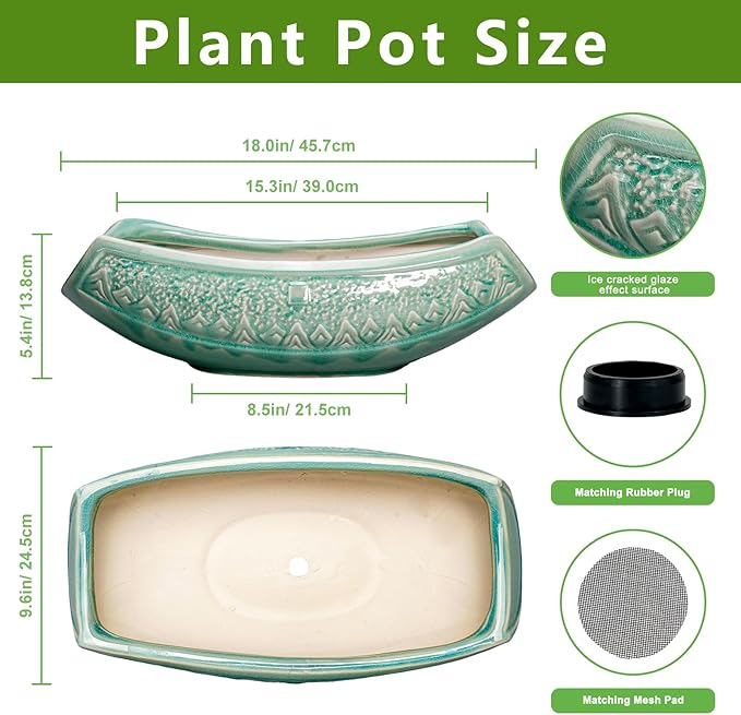 Bonsai Tree Pot - Image 2