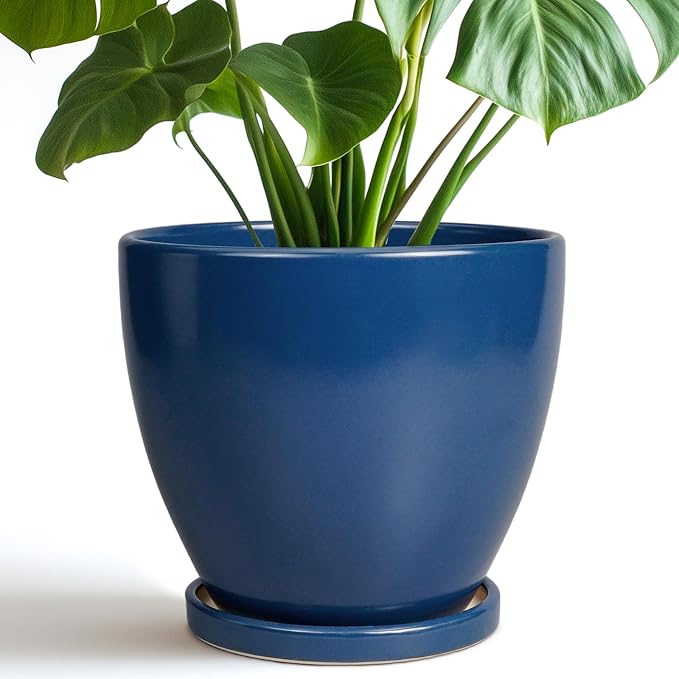 Ceramic Plant Pot by EPFamily