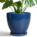 Ceramic Plant Pot by EPFamily