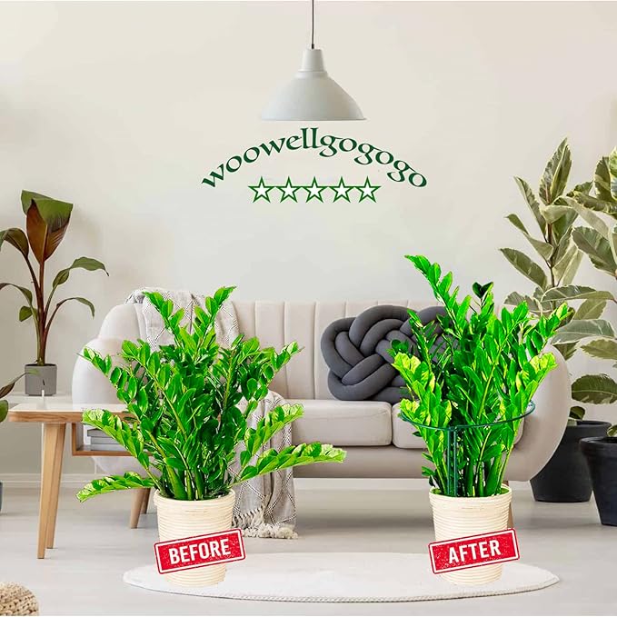 Half Round Snake Plant Support Stakes, Plant Ring - Image 3