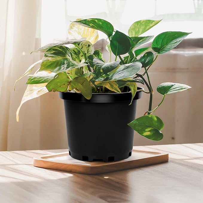 GREANER 2 Gallon Nursery Pots for Plants - Image 7