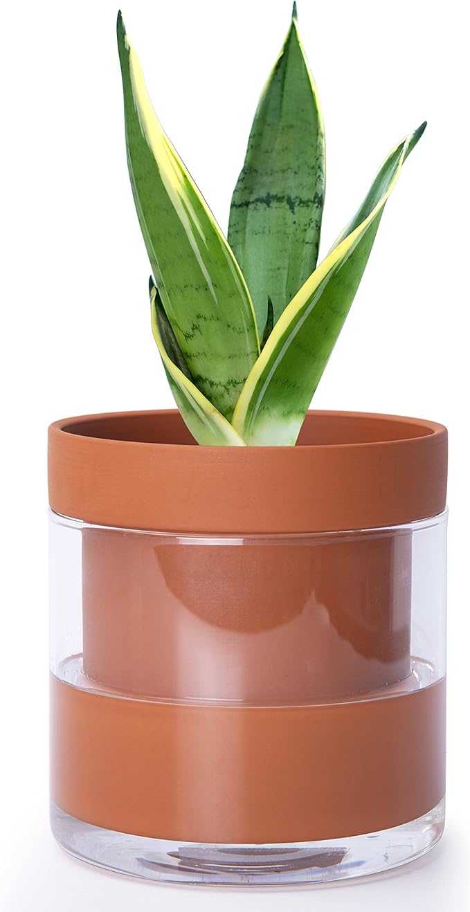 Phoenix Vine 6 Inch Self Watering Planter Pot, Terracotta Clay Pot by Phoenix+Vine