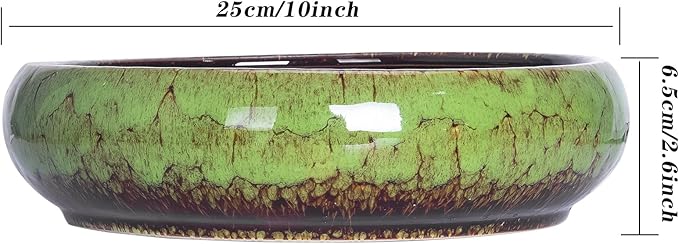ARTKETTY Succulent Pot, 10 Inch Large Succulent Planter Pot - Image 4