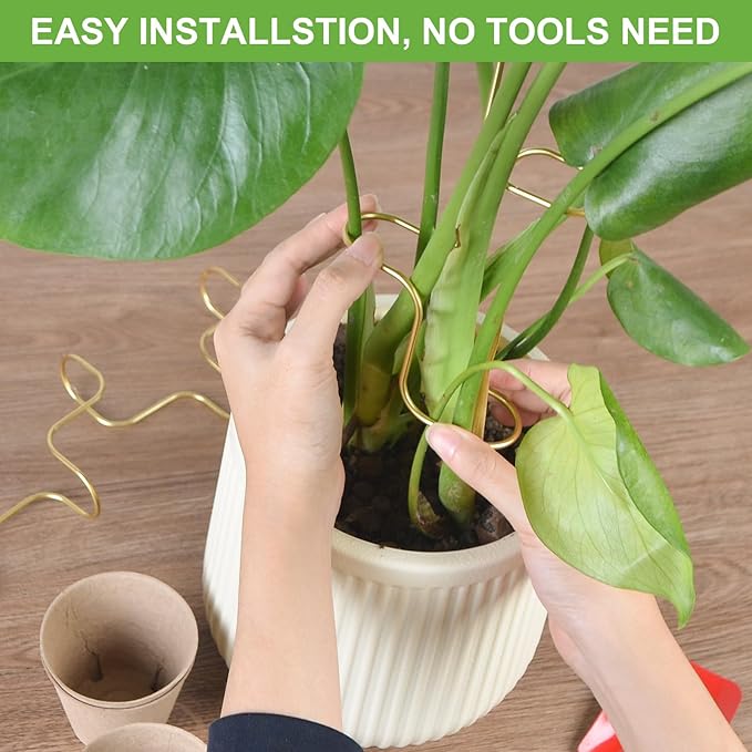 succulentlovers 4PCS Indoor Plant Support Stakes, 12.6 Inch Metal Monstera - Image 4