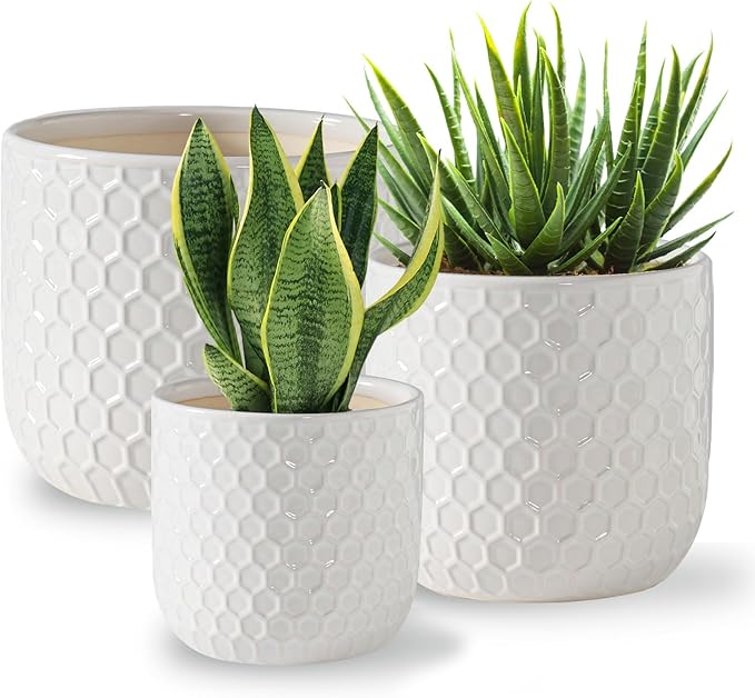 Docrin Plant Pots Indoor with Drainage: 6.4+5.3+4 Inch Ceramic Flower Pots by DOCRIN