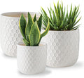 Docrin Plant Pots Indoor with Drainage: 6.4+5.3+4 Inch Ceramic Flower Pots by DOCRIN