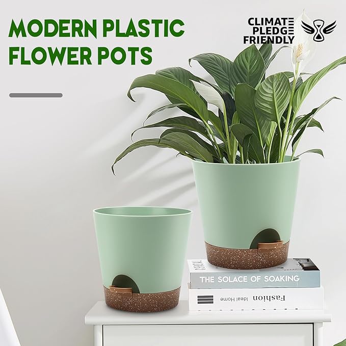 Indoor Self Watering Planters - Image 4