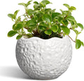 4 inch Plant Pots by Thirtypot