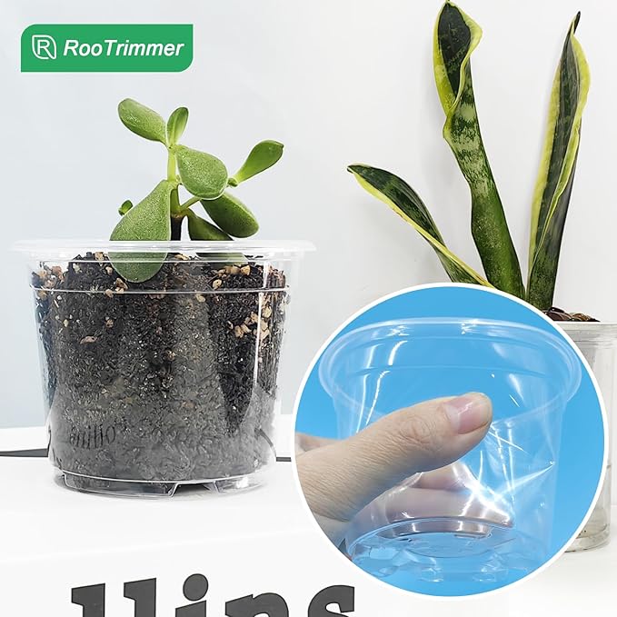 Clear Seedling pots 100-Pack 3.2 Inches Round - Image 5