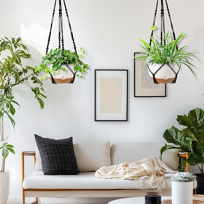Hanging Planter Self Watering 10 Inch, 2 Pack Indoor Outdoor Hanging Baskets - Image 2