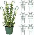 Plant Support Stakes, Stackable Plant Trellis by Unknown