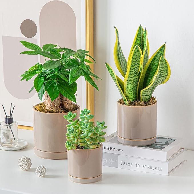 vancasso Ceramic Plant Pots, 3 Piece Planters - Image 8