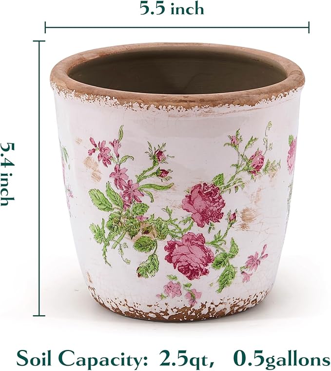 Vintage Ceramic Planter with Drainage Hole, Plastic Tray & Mesh, 5.5 Inch - Image 5