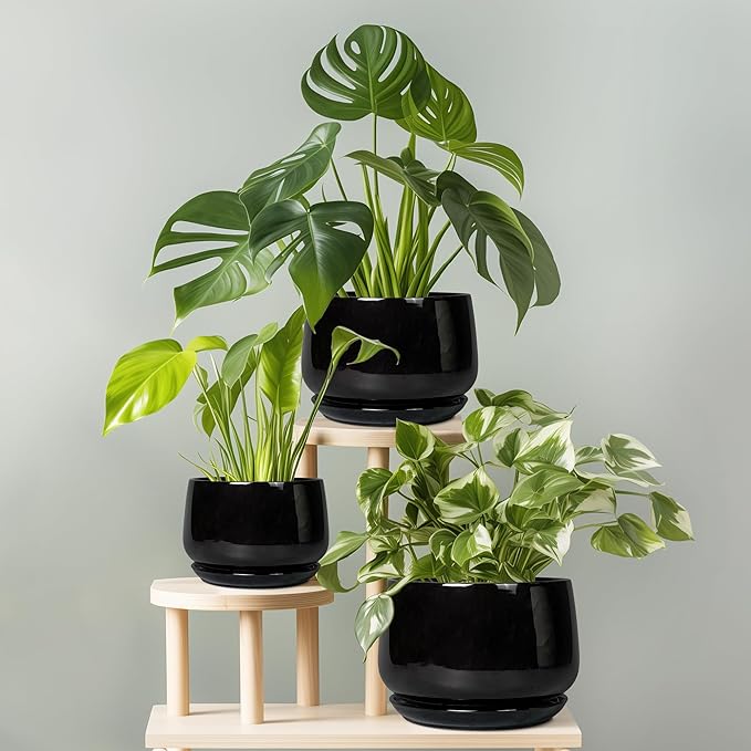 G EPGardening 6 Inch Planter - Image 8