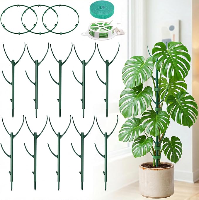 20-Pack Monstera Plant Support Stakes by Unijoy