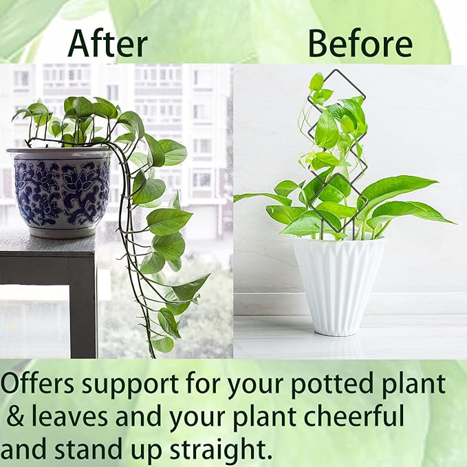 4 Pcs Mini Metal Trellis for Potted Plants, Climbing Support for Hoya Vines - Image 3