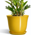 Ceramic Planter by SUNPOTFOR