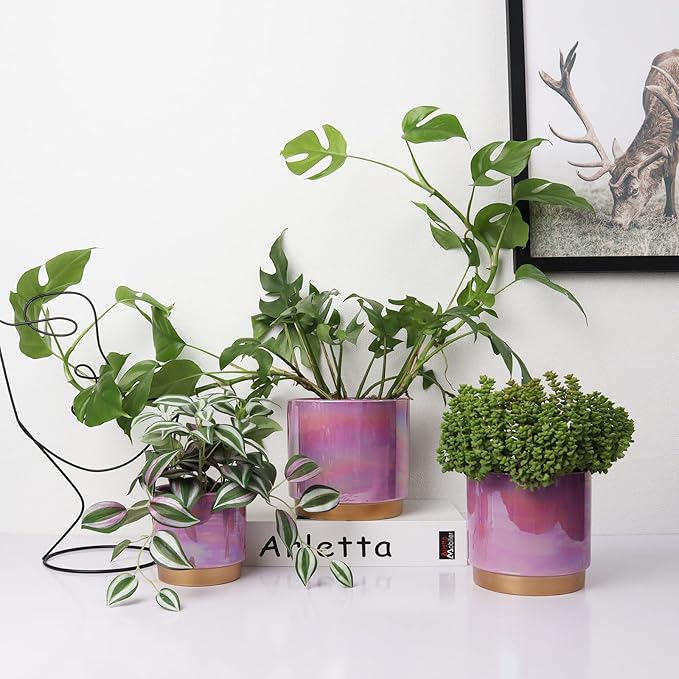 Gepege Ceramic Pots for Plants, Rainbow Pearl Glaze Planter - Image 5