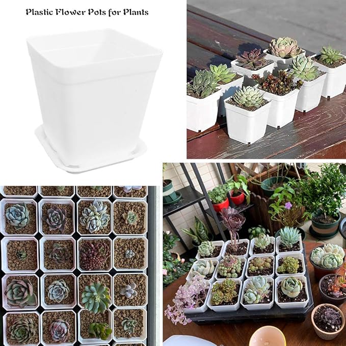 24 Pack 3 Inch White Square Plastic Plant Pots - Image 7