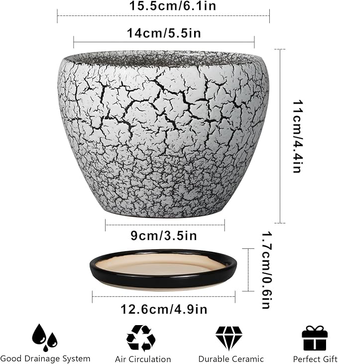 Ceramic Planter Pot - Image 3
