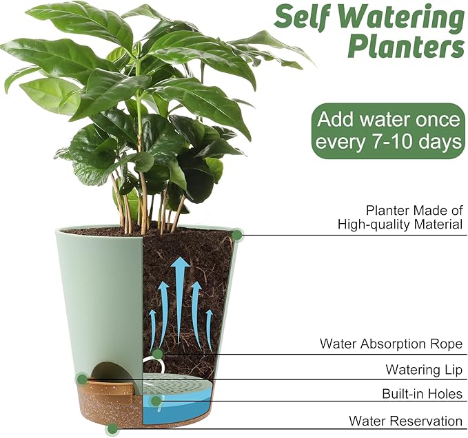 Indoor Self Watering Planters - Image 5