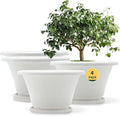Quarut 12 Inch Plant Pot, 4 Pack Large pots by Quarut