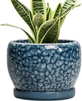 SQOWL Ceramic Pots for Plants by SQOWL