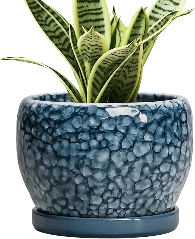 SQOWL Ceramic Pots for Plants by SQOWL