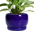 SQOWL 8 Inch Plant Pot by SQOWL