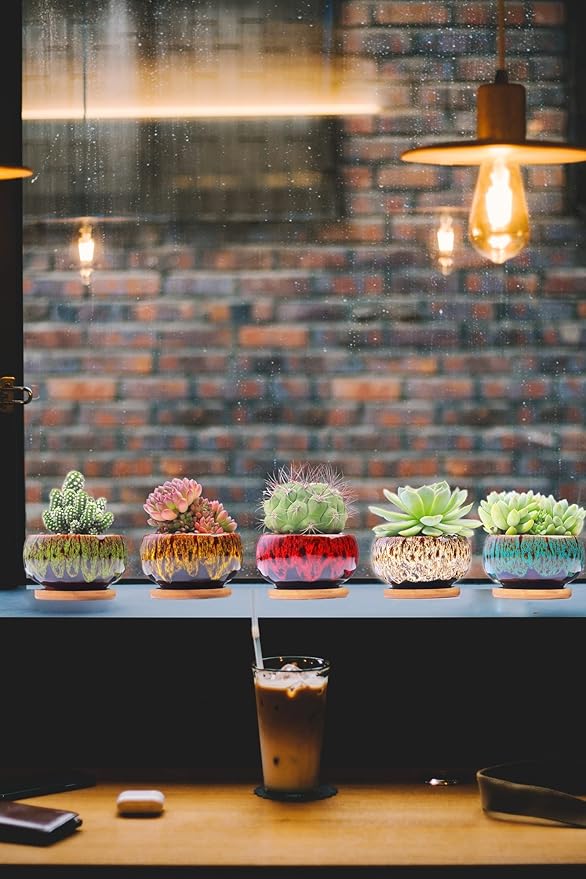 Cute Ceramic Succulent Garden Pots, Planter - Image 4