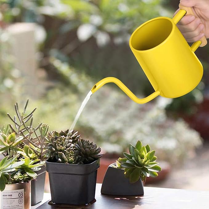 Watering Can Indoor Plants, 35 oz/1000 ml Metal Stainless Steel Watering Can Pot - Image 2