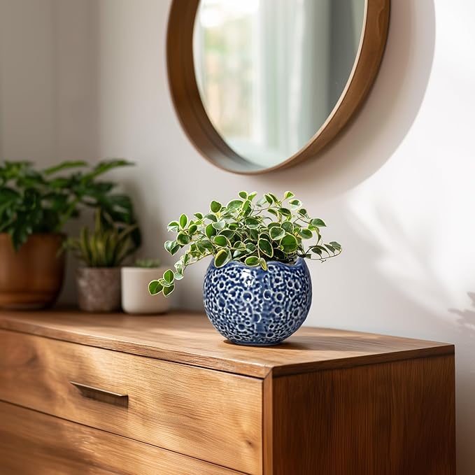 4 inch Plant Pots - Image 6