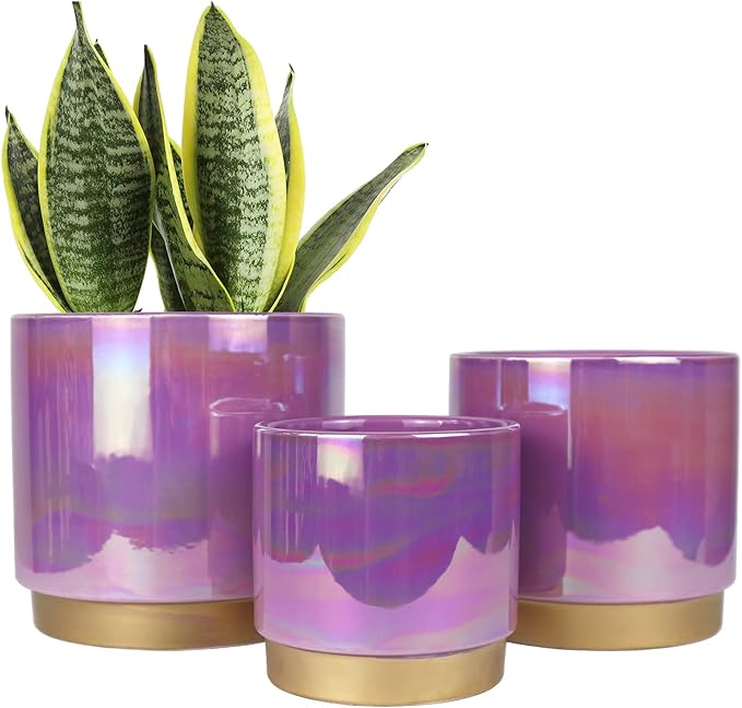 Gepege Ceramic Pots for Plants, Rainbow Pearl Glaze Planter by Gepege