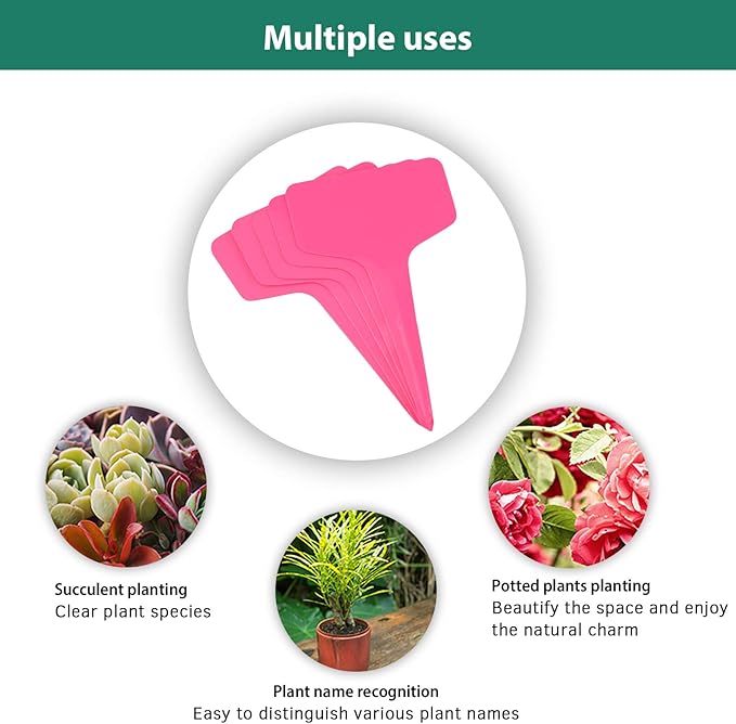 Pink Plant labels - Image 4
