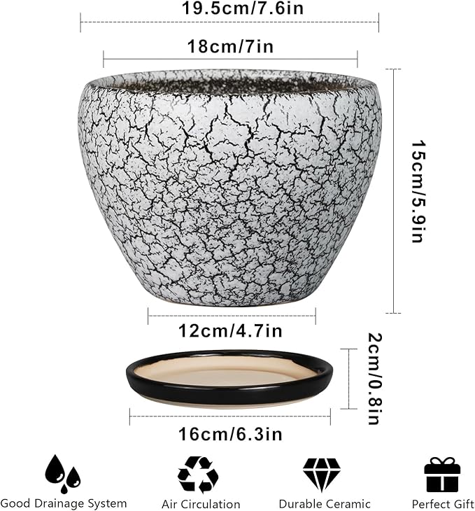 Ceramic Plant Pot 8 Inch - Image 3