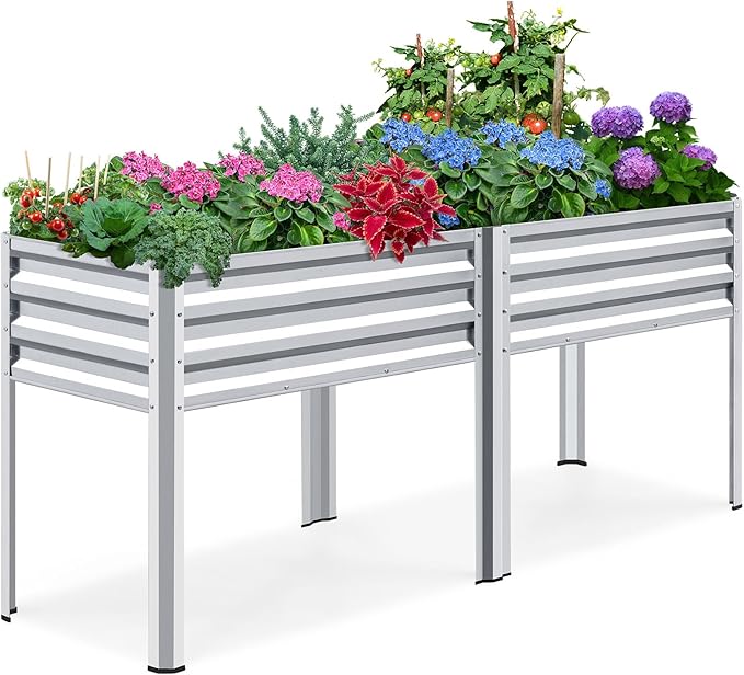 King Bird Raised Garden Bed by KINGBIRD