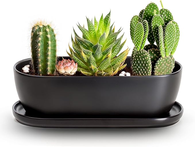 E-liu Oval Ceramic Planter Pot by Creatingwarmandrefinedlifestylekitchenandhomeessentials