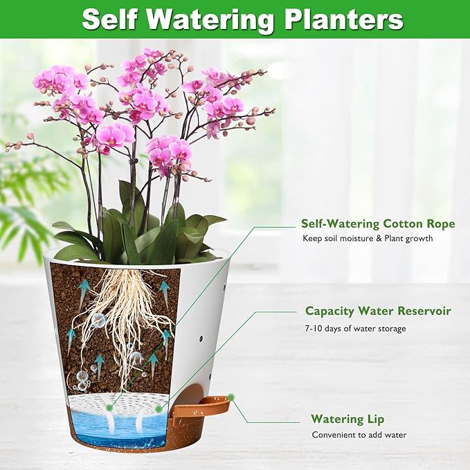 Orchid Pots with Holes, 6 Inch Self Watering Orchid Pot 3 Pack Plastic Plant - Image 3