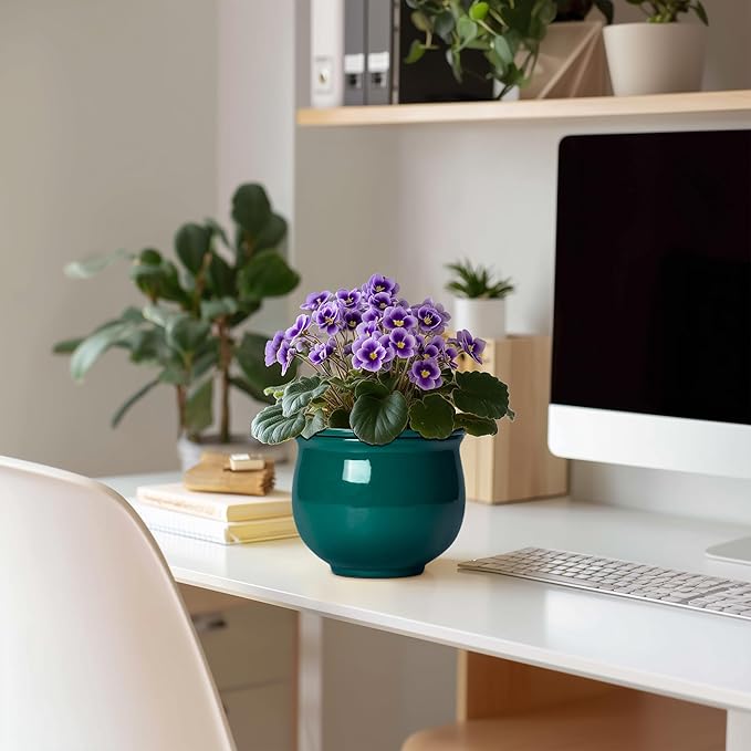 6 Inch Self Watering Plant Pots, Ceramic African Violet Pot - Image 3