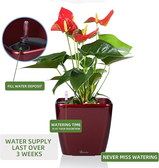 Dexceder 11x10 Self Watering Planter Indoor Outdoor, Inner Mat Design, - Image 5