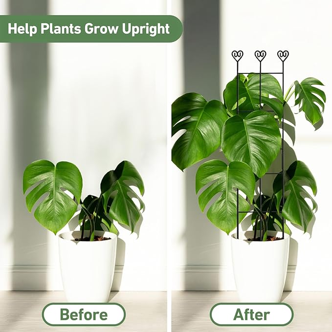 32in Large Indoor Plant Trellis - Image 3