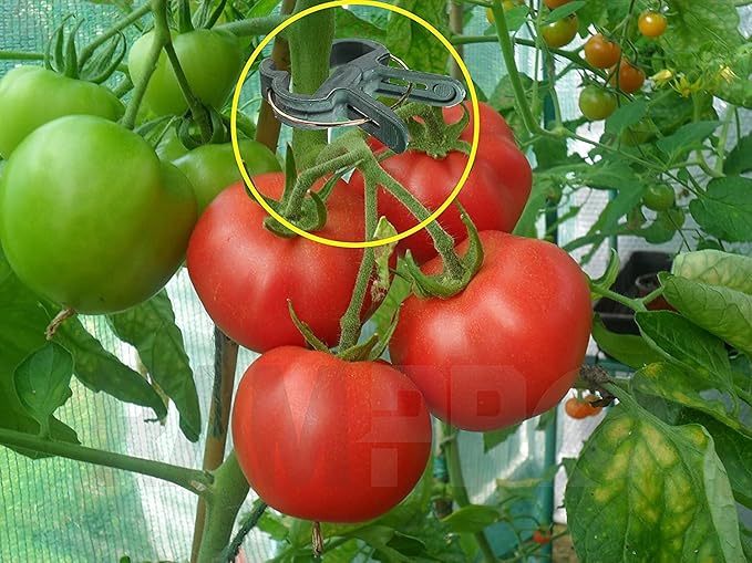 Plant Clips 40 Piece Green Gentle Gardening Plant & Flower Lever Loop Gripper - Image 9