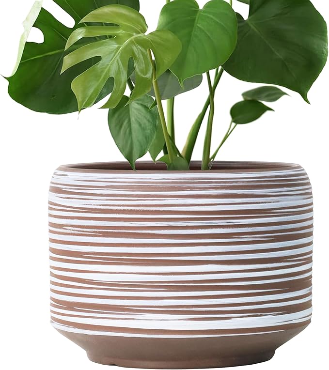 10 Inch Ceramic Plant Pot with Drainage – Large Flower Pot by Bestseler