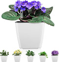 Self Watering Planters for Indoor Plants : 5 inch 6 Pack White Planter by GsGardenSpecialty